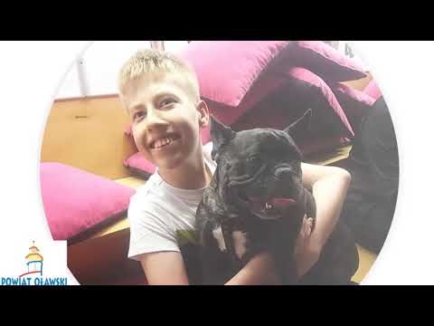 Warsztaty dogoterapeutyczne w Zespole Szkół Specjalnych w Oławie